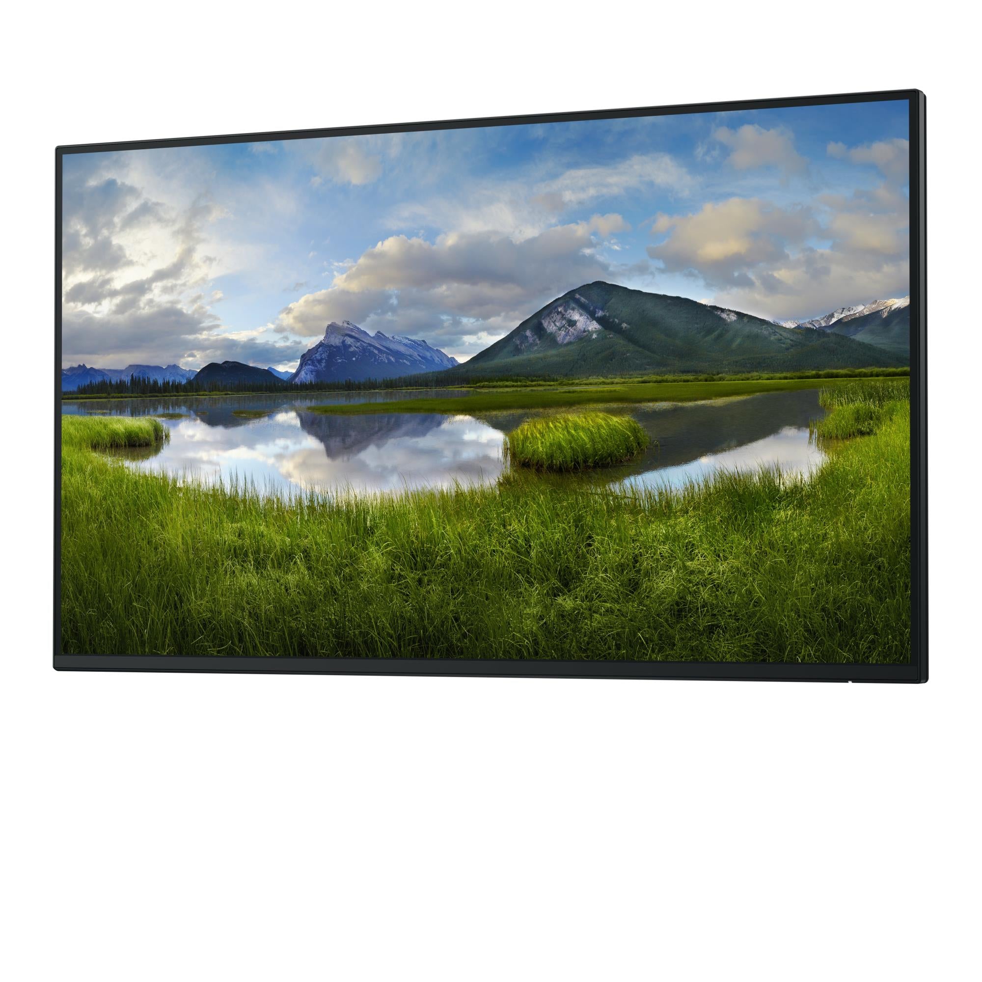 LCD Monitor DELL P2725H without stand 27" Business Panel IPS 1920x1080 16:9 100Hz Matte 8 ms Swivel Pivot Height adjustable Tilt 210-BMGD