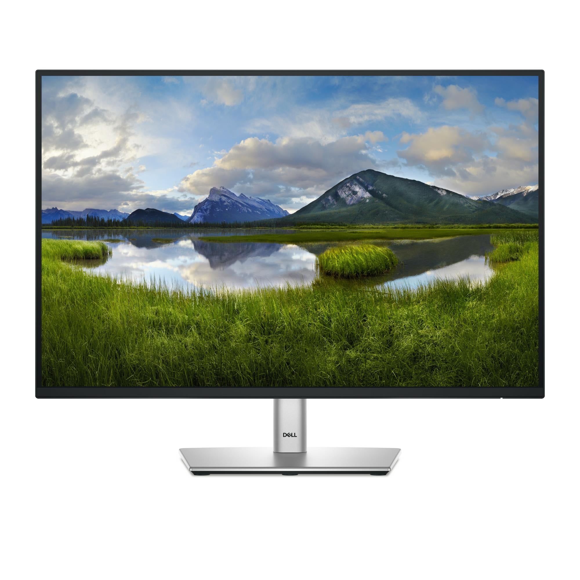 LCD Monitor DELL P2425 24" Business Panel IPS 1920x1200 16:10 100Hz Matte 8 ms Swivel Pivot Height adjustable Tilt 210-BMJD