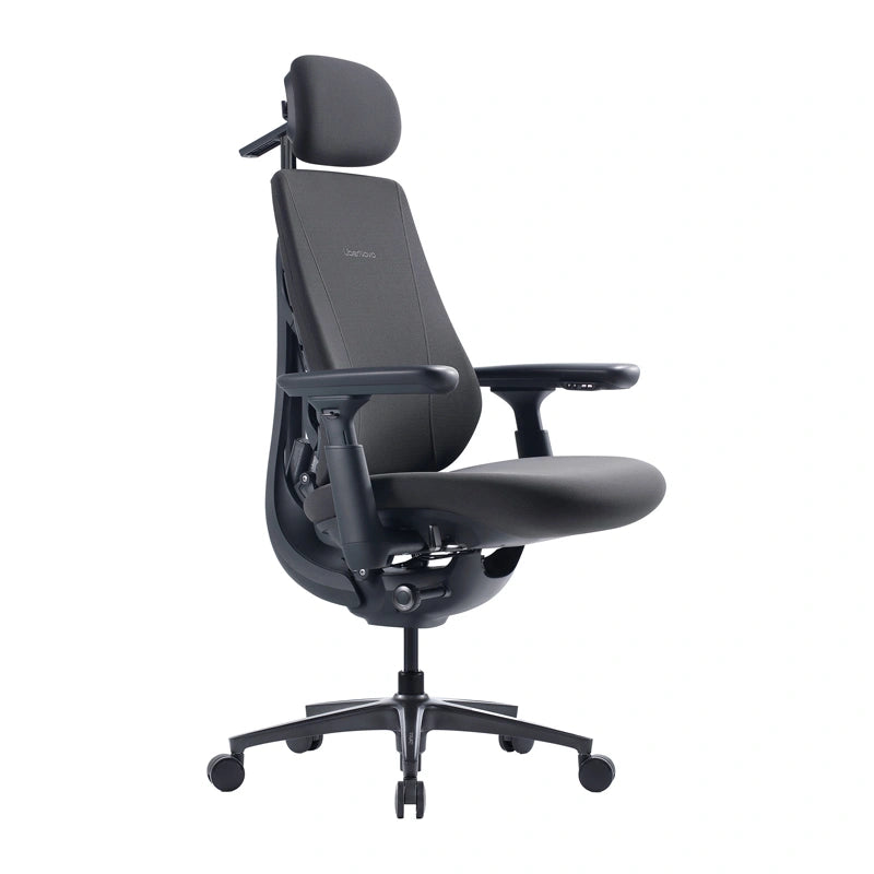 Dynamic Ergonomic Chair LiberNovo Maxis - Image 1