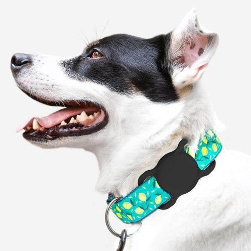 Apple AirTag Silicone Case for Dog or Cat Collar - Black — Hurtel