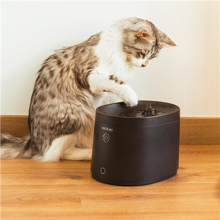 Cecotec Smart Pet Fountain | Pumba 2500 Refresh | Capacity 2.5 L | Black