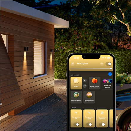 Philips Hue WCA Resonate Outdoor Downward Wall Lantern, Black | 8 W | 2000-6500 Hue White Colour Ambiance