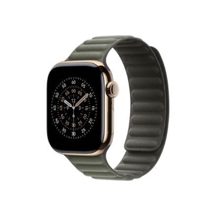 Apple 42mm Sage Gray Magnetic Link - S/M | Apple