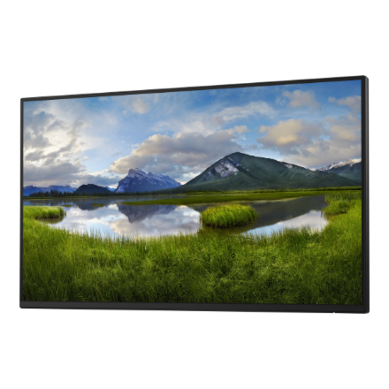 Dell | Monitor Without Stand | P2425H | 24 " | IPS | 16:9 | 100 Hz | 8 ms | 1920 x 1080 pixels | 250 cd/m² | HDMI ports quantity 1 | Black | Warranty 36 month(s)