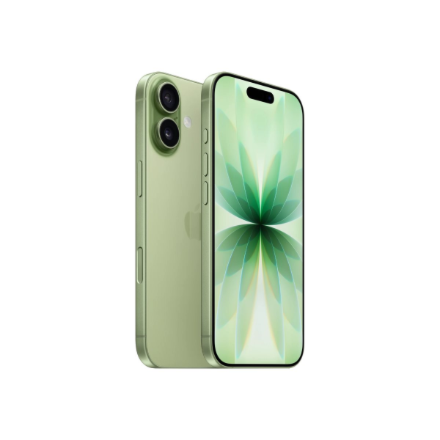 Apple | iPhone 17 | Sage | 6.3 " | 2622 x 1206 pixels | OLED | A19 | Internal RAM 8 GB | 256 GB | Dual SIM | Nano SIM | 5G | Main camera resolution 48 MP | iOS 26 | Secondary camera resolution 48 MP