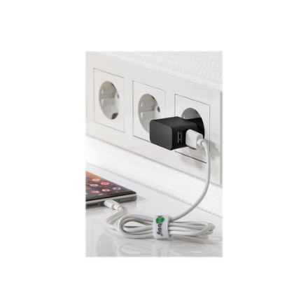 Goobay | 2.4 A | Dual USB charger | 44951