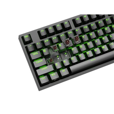 Genesis | THOR 404 TKL | Mechanical Gaming Keyboard | Wired | US | Kailh Box Brown V2 | Black | RGB