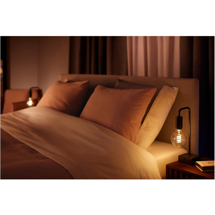 Hue WA 7W Filament G93 globe E27 | E27 | 7 W | Warm to cool white 2200-4500K | Bluetooth and Zigbee