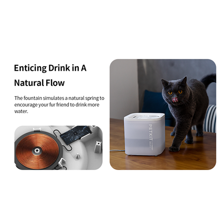PETKIT | Smart Pet Drinking Fountain | Eversweet Solo | Capacity 1.8 L | Filtering | Material Plastic | White