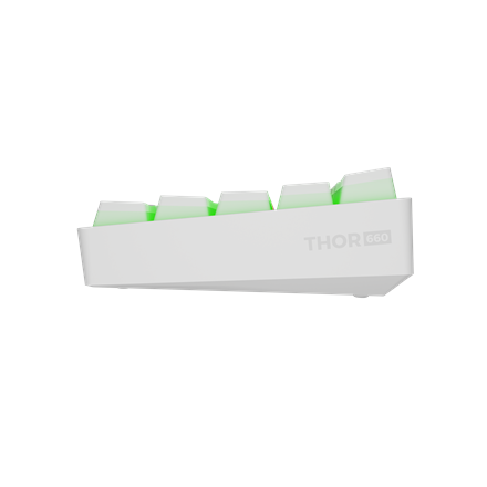 Genesis | THOR 660 G2 | Gaming keyboard | Wireless/Wired | US | Tactile | White