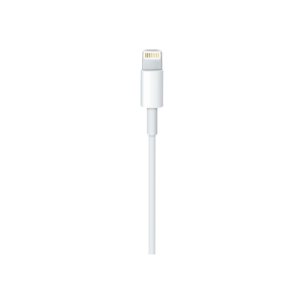 Apple USB-C to Lightning Cable (1m) | Apple