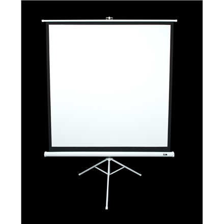 Elite Screens | Tripod Series | T113NWS1 | Diagonal 113 " | 1:1 | Viewable screen width (W) 203 cm | White