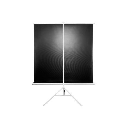 Elite Screens | Tripod Series | T99NWS1 | Diagonal 99 " | 1:1 | Viewable screen width (W) 178 cm | White