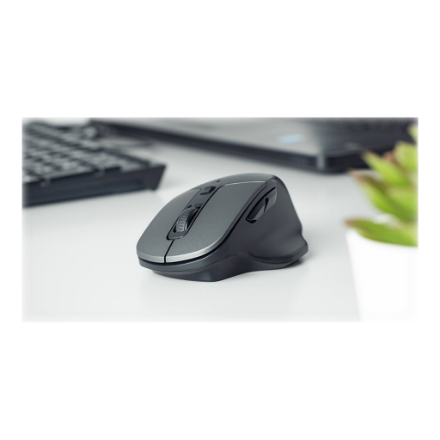 Natec Mouse, BlackBird 2, Silent, Wireless, 1600 DPI, Optical, Black | Natec | Mouse | Optical | Wireless | Black/Gray