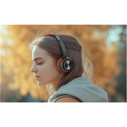 Muse | Stereo Headphones | M-271 BO