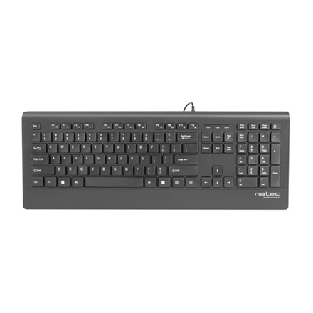 Natec Keyboard, Barracuda, US Layout, Slim | Natec | Keyboard | Barracuda | Standard | Wired | US | Black