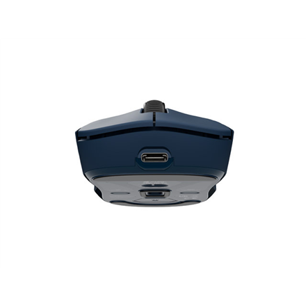 Fury | Gaming Mouse | Tanto T4 | Wired/Wireless | 2.4 GHz, Bluetooth, USB | Blue
