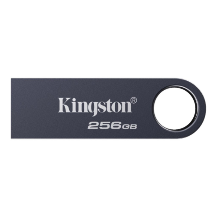 Kingston USB Flash Drive | DataTraveler SE9 G3 | 256 GB | USB Type-A | Grey