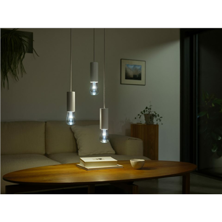Philips Hue WCA Lightguide ST72 | E27 | 6.8 W | White and colour light