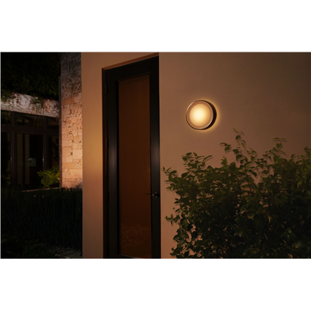 Philips Hue WCA Daylo Outdoor Wall Lantern, Inox | 15 W | 2000-6500 Hue White Colour Ambiance