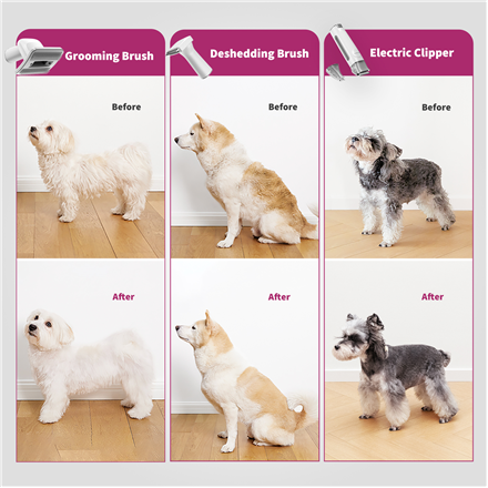 PETKIT | Air Clipper Pet Grooming Vacuum Kit 5in1 | LM4 | Grey/White