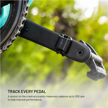 Fixed | Cadence/Speed Sensor Spin | Bluetooth | Black