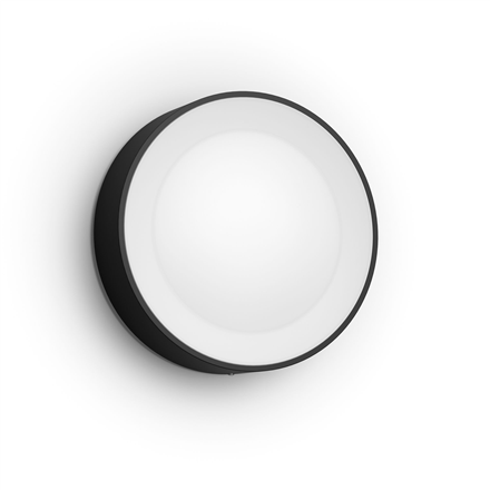 Philips Hue WCA Daylo Outdoor Wall Lantern, Black | 15 W | 2000-6500 Hue White Colour Ambiance