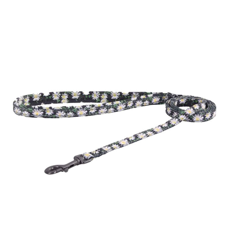 Cat set Dogness harness and leash 1,5m (Daisy Black) - Product Image 3