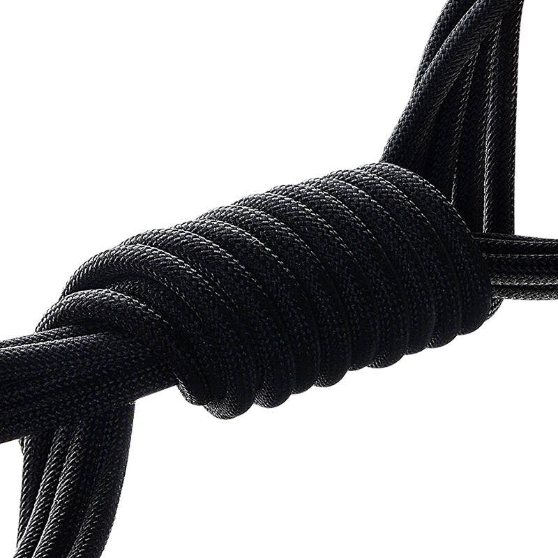 Baseus Tungsten Gold Charging Cable USB-C to USB-C 100W 1m (black) - Product Image 2