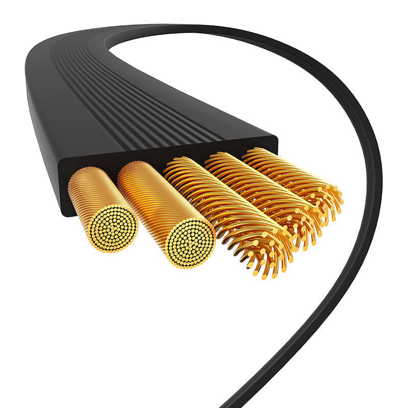 Baseus USB-C to USB-C 100W Charging Cable (Black) Bayern Edition - Product Image 4