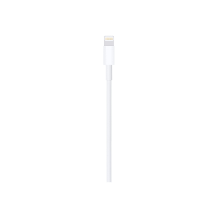 Apple Lightning to USB Cable (1m) | Apple