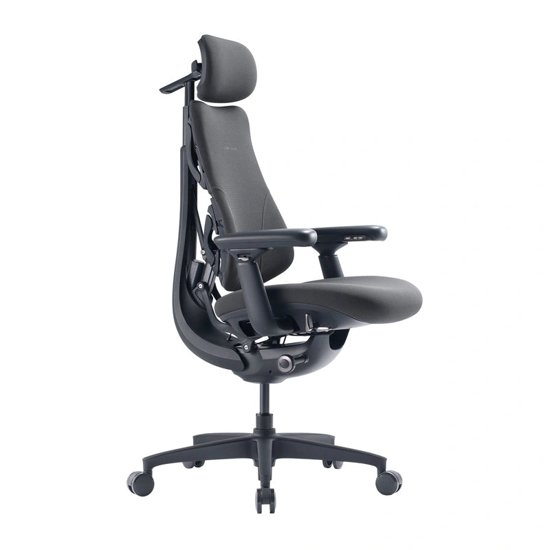 LiberNovo Omni GEN 48 cm Ergonomic Chair (Graphite) - Image 1