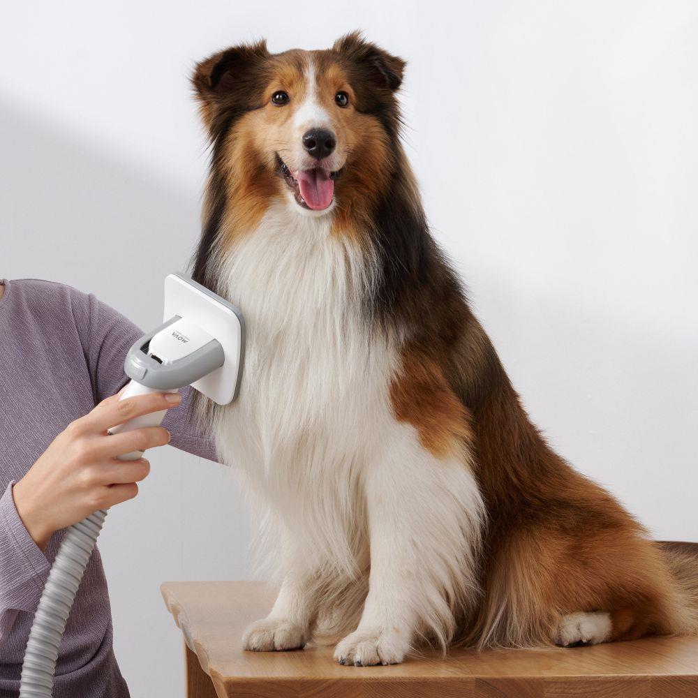 Vacuum Cleaner DREAME Mova G1 Pro Pet Grooming Kit Dust capacity 1 L Cleaning type Dry Colour White PHC10A