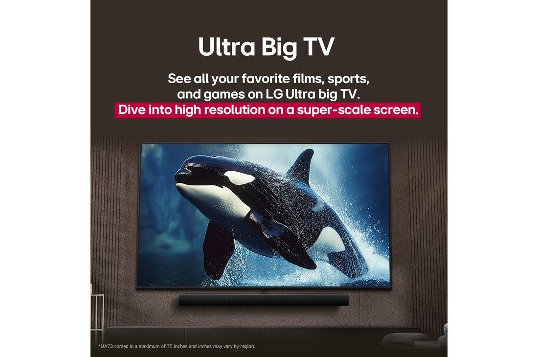 TV Set LG 55" 4K/Smart 3840x2160 Wireless LAN Bluetooth webOS 55UA73003LA