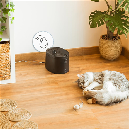 Cecotec Smart Pet Fountain | Pumba 2500 Refresh | Capacity 2.5 L | Black