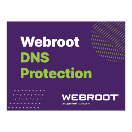 Webroot | DNS Protection with GSM Console | 2 year(s) | License quantity 10-99 user(s)