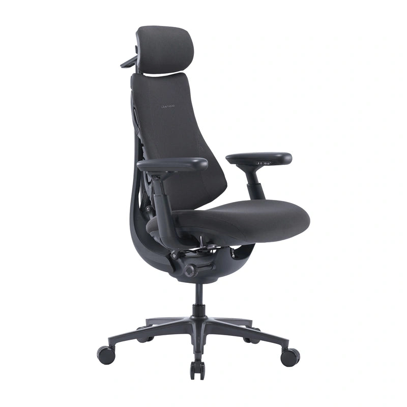 LiberNovo Omni Pro 45 cm Ergonomic Chair (Graphite) - Image 2