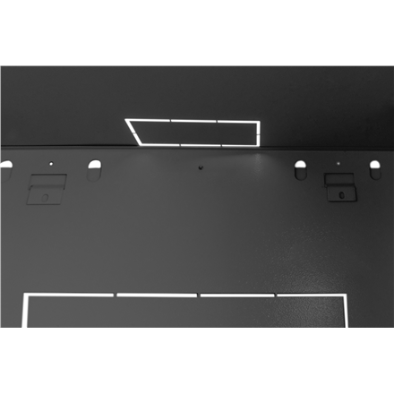 Digitus Wall Mounting Cabinet | DN-19 09-U-EC-SW | Black