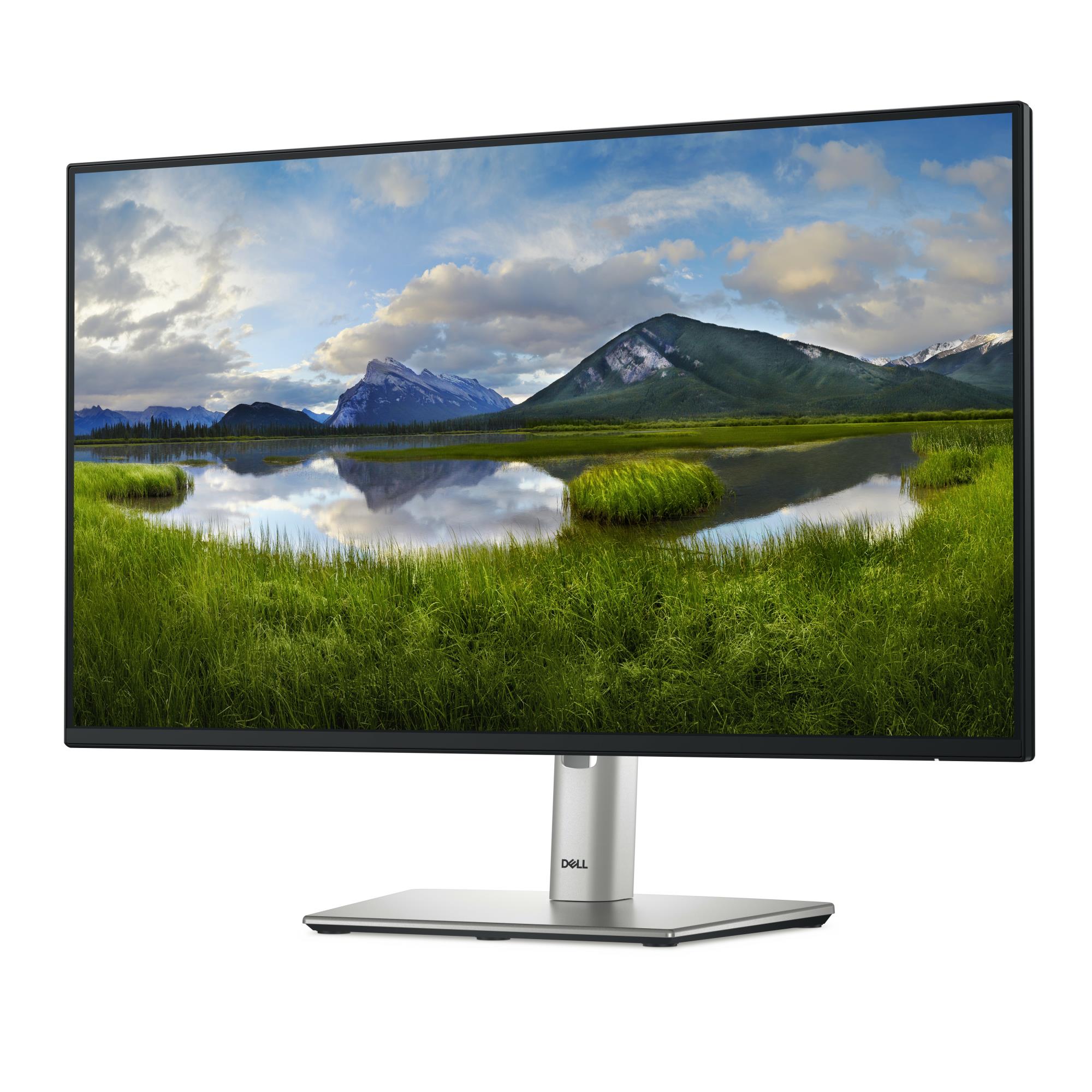 LCD Monitor DELL P2425HE 23.8" Business Panel IPS 1920x1080 16:9 100Hz Matte 8 ms Swivel Pivot Height adjustable Tilt 210-BMJB
