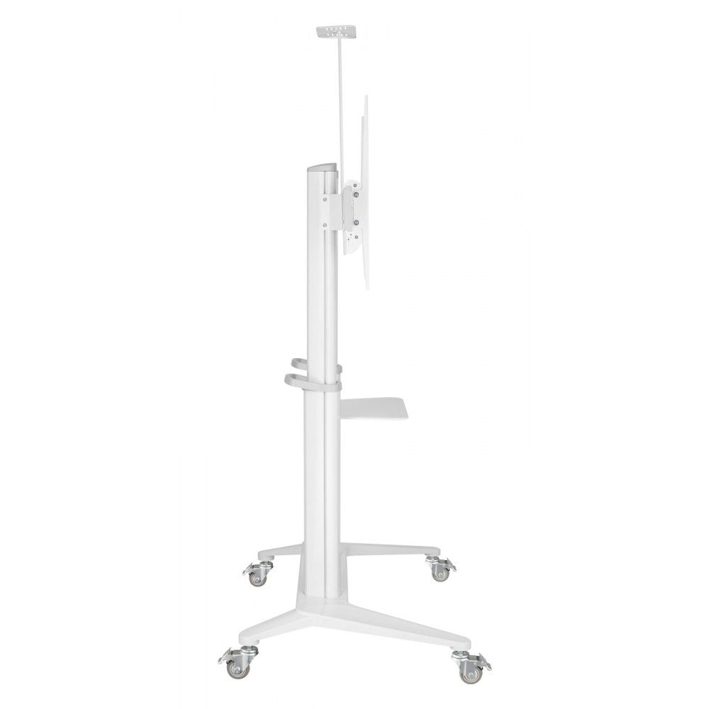 Mobile stand for a TV 70-120 inches 140 kg or an interactive board