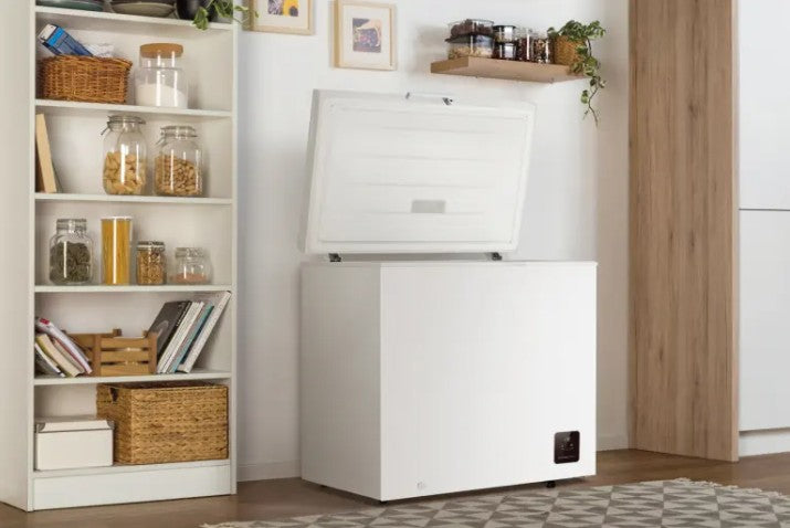 FH20E6W5 freezer