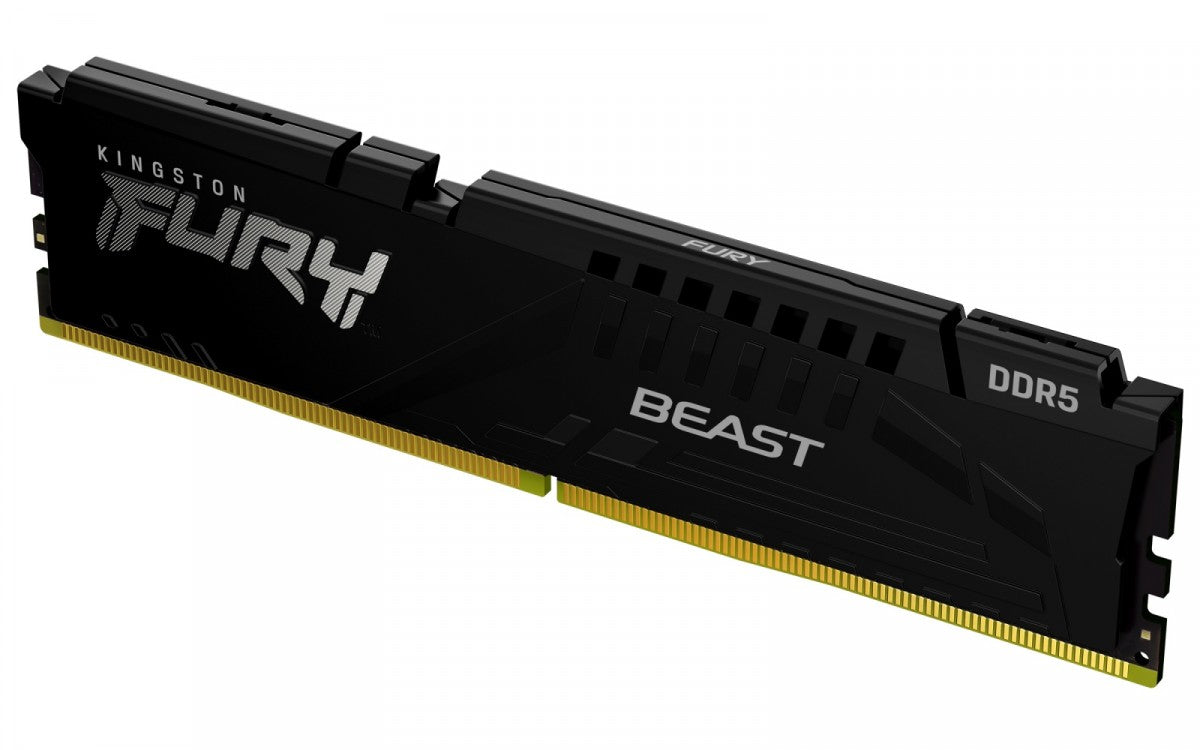 DDR5 Fury Beast 16GB(1*16GB)/5600 CL36 EXPO black