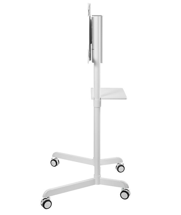 NS-M1250 WHITE floor stand 37-70'' 70KG 200x200-600x400