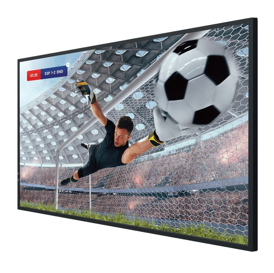 Monitor 55DM66D 55 inches 4K UHD IPS DS Display 24/7