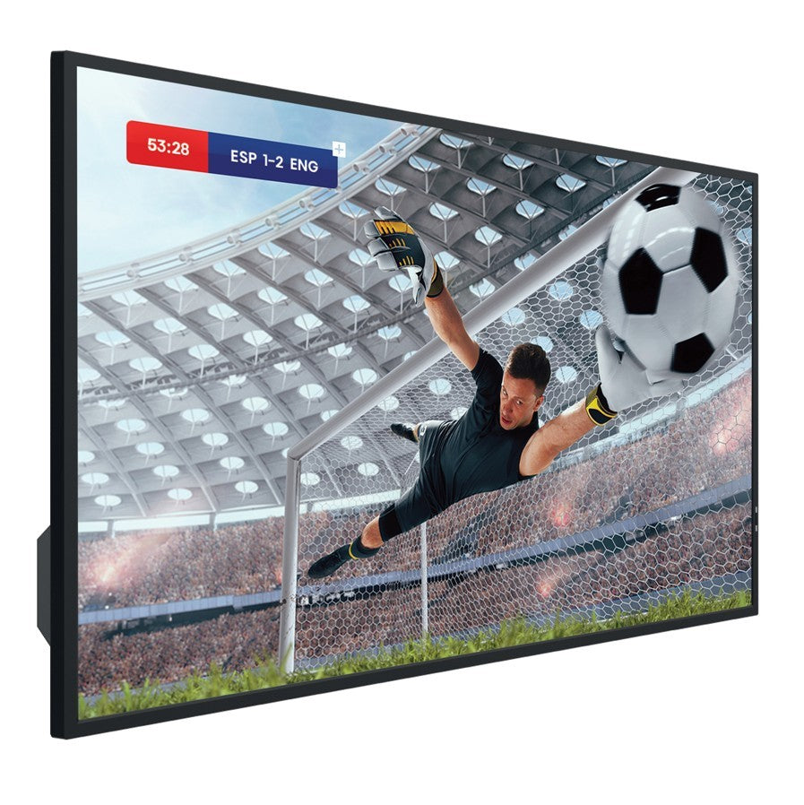 Monitor 55DM66D 55 inches 4K UHD IPS DS Display 24/7