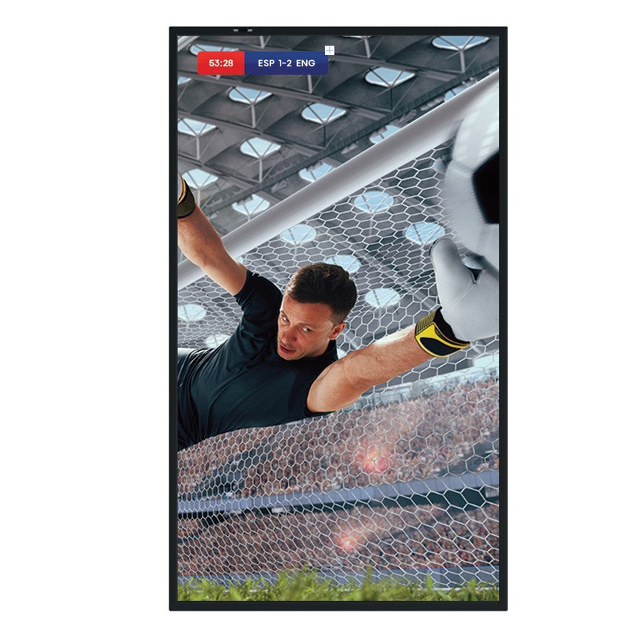 Monitor 55DM66D 55 inches 4K UHD IPS DS Display 24/7