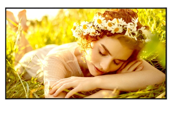 Monitor 50UL5Q-E 500cd/m2 UHD 24/7