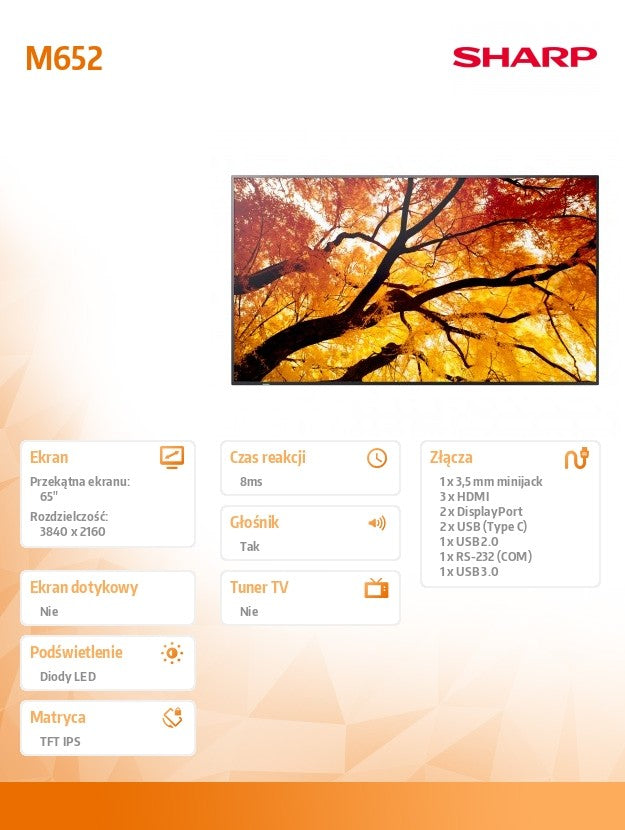 Monitor M652 65 inches 24/7 550cd/m2