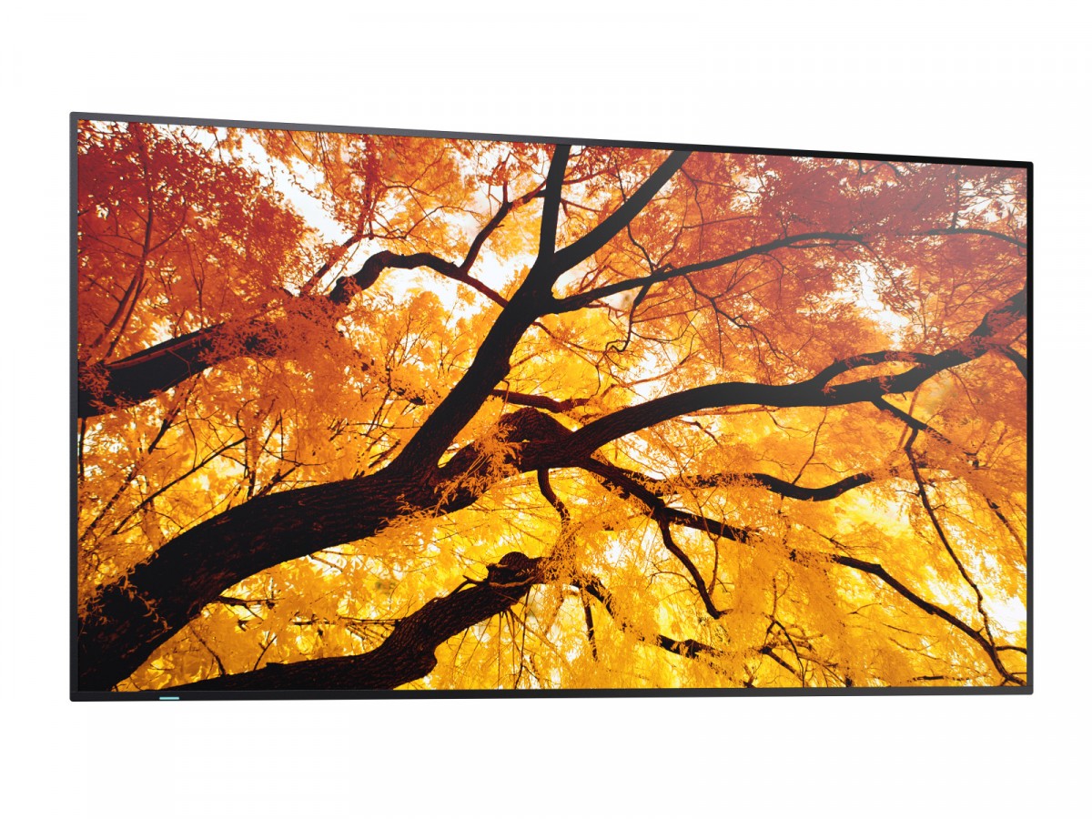 Monitor M652 65 inches 24/7 550cd/m2