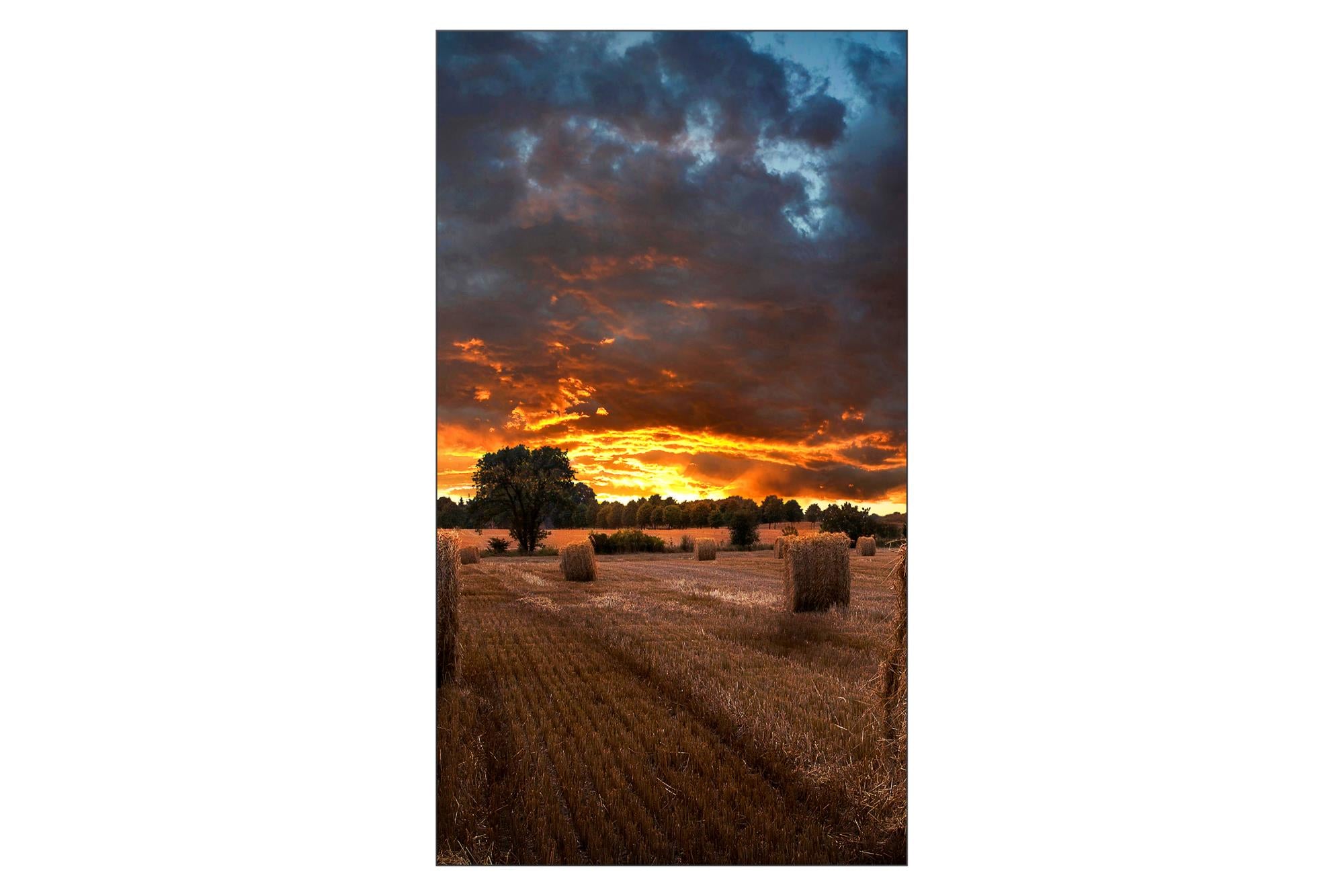 DISPLAY LCD 55" VM55B-U/LH55VMBUBGBXEN SAMSUNG